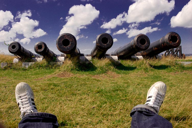 a rough guide to making love to cannons