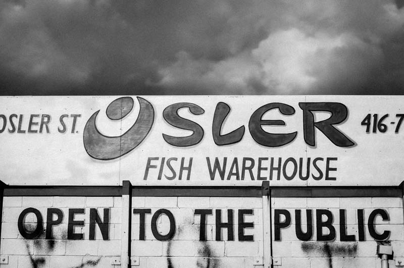 this one time, i found a fish warehouse