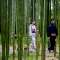 once, i saw a man and a woman walk through a bamboo forest